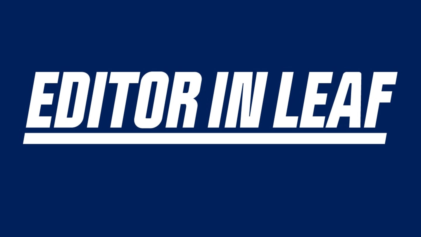 Maple Leafs Reddit Goes Dark: Impact of API Changes on Moderators